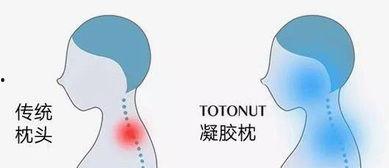 成人脑袋正常大小图解视频