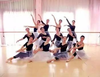 成人形体姿态训练视频,成人形体姿态训练视频精华解析