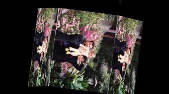 夜莺视频成人版下载