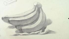 成人素描视频教程全集,成人素描视频教程全集精华概述