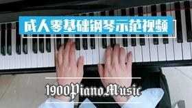 钢琴初学入门视频成人,成人生涯的钢琴入门之旅