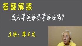 成人学英语步骤视频教程