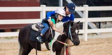 成人马术训练视频,成人进阶技巧解析