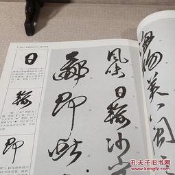 成人行草练字帖视频,成人行草练字帖视频精华解析