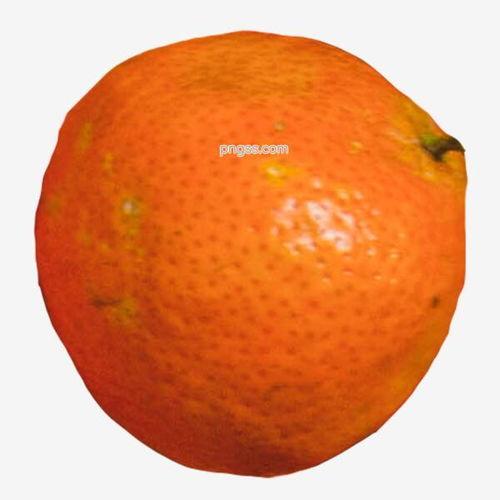 成人桔子视频,揭秘成人世界的真实情感与欲望