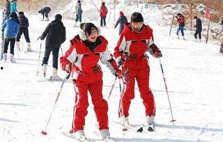 郑州滑雪成人比赛视频直播,激情赛道，速度与激情的较量