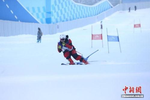 郑州滑雪成人比赛视频直播,激情赛道，速度与激情的较量
