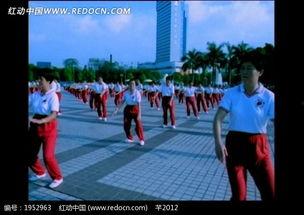 成人练太极视频下载