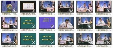 成人书法怎么上课教学视频,成人书法入门与提升技巧解析