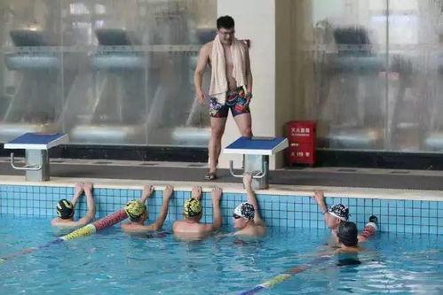 成人游泳培训热身视频,轻松入门前的活力启动