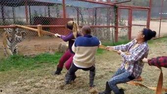 老外成人跳跳杆图片视频