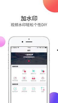 成人A 视频APP下载下载,下载热潮背后的真相与警示