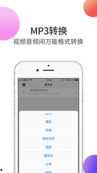 成人A 视频APP下载下载,下载热潮背后的真相与警示